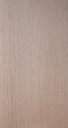 �t�ε�Ԕ����B