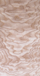 ��������Ԕ����B