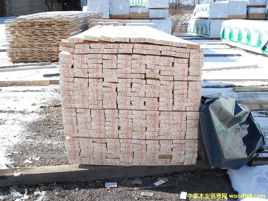 ���Wɼľ��ĵ�Ԕ����B