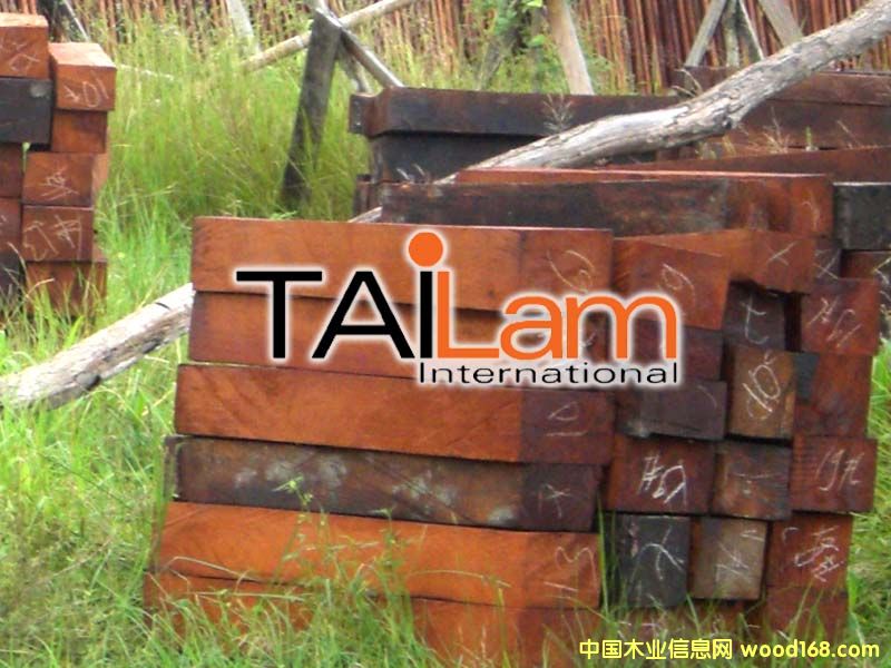 �c(di��n)���鿴���j���ķ��ϷŴ�DƬ