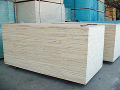 �c���鿴��ľ����Ŵ�DƬ