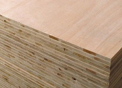 �c���鿴��ľ����Ŵ�DƬ