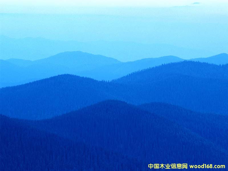 �c(di��n)���鿴��ľ�A��Ƥ�Ŵ�DƬ