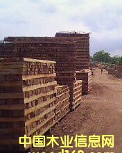 ��ľ�������l��Ԕ��(x��)��B