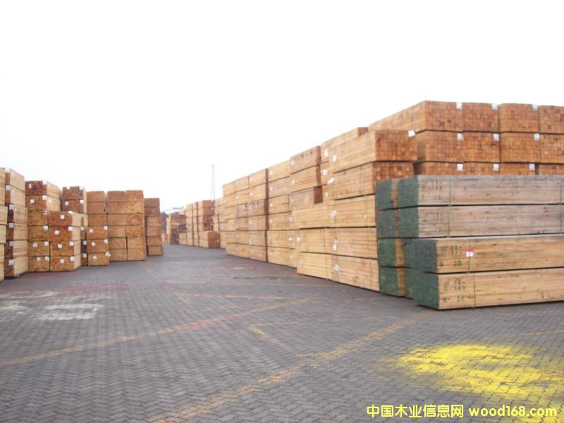 ���ô�WFP��Ԕ����B