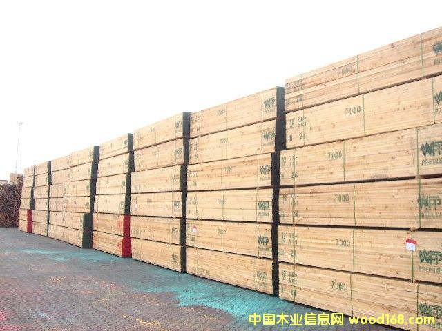 �����ľ�ĵ�Ԕ����B