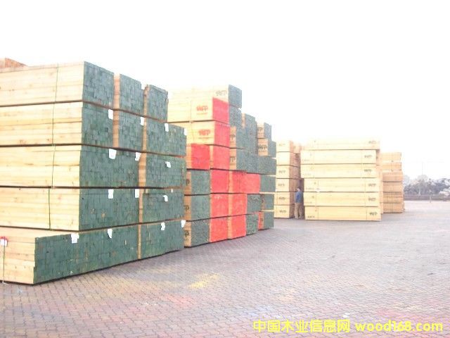 �M��WFP��Ԕ����B