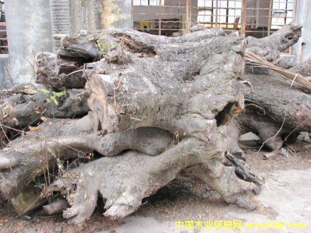 �u��ľ�ψ�(ch��ng)��Ԕ��(x��)��B