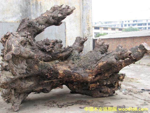 �u��ľ��ײ��ϵ�Ԕ��(x��)��B