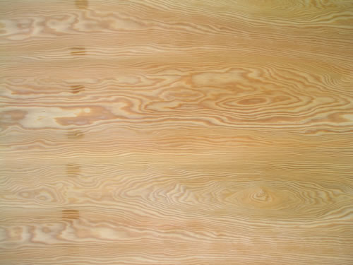 �c���鿴�ΰ�Ŵ�DƬ