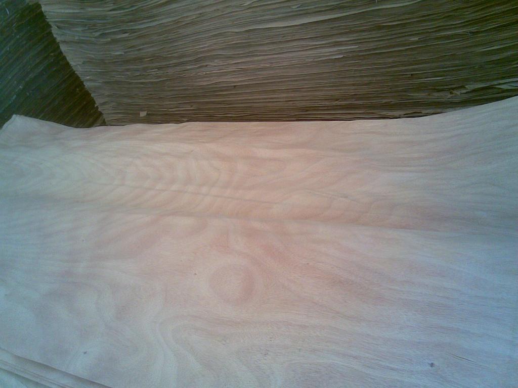 �c���鿴�ΰ�Ŵ�DƬ