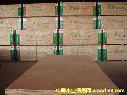 �c���鿴��(x��)ľ����Ŵ�DƬ