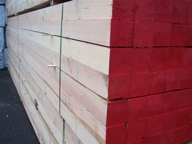 �c(di��n)���鿴��ľ�Ŵ�DƬ