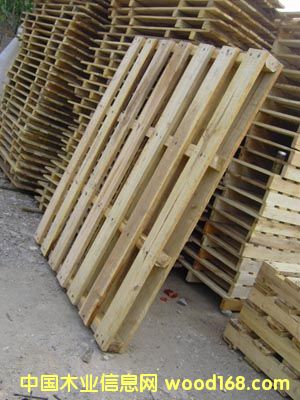 ���������Ԕ��(x��)��B