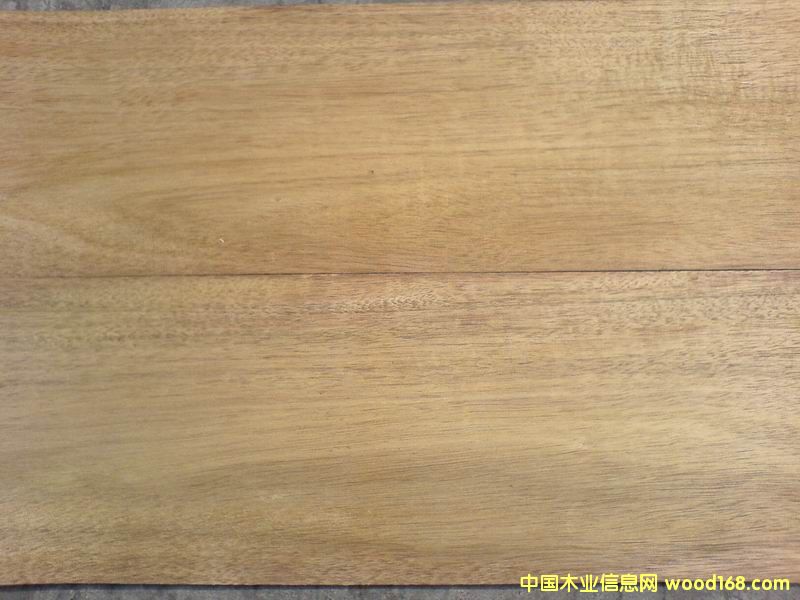 �c���鿴����˹��Ƭ�Ŵ�DƬ