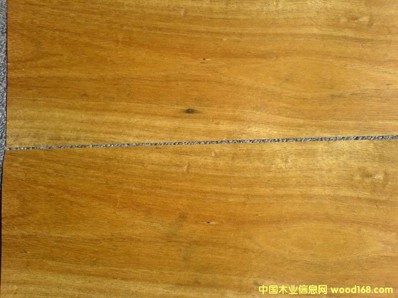 �c���鿴��ľľƤ�Ŵ�DƬ