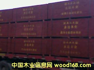 �c���鿴16��Ŵ�DƬ