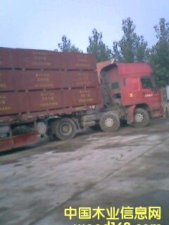 �c���鿴15��Ŵ�DƬ