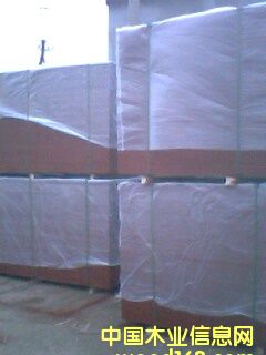 �c���鿴13�Ŵ�DƬ