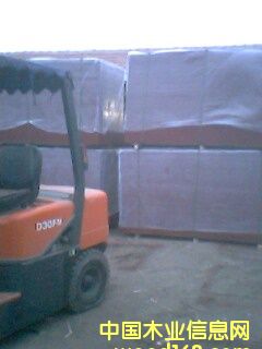 �c���鿴��Ŵ�DƬ