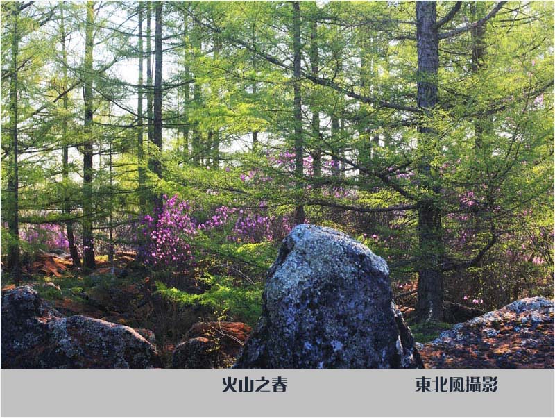 �c���鿴ľ�ϷŴ�DƬ