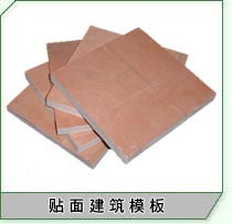 �c���鿴��ľ�z�ϰ�Ŵ�DƬ