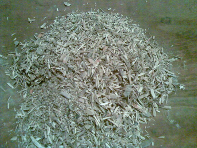 �c(di��n)���鿴ľ���Ŵ�DƬ