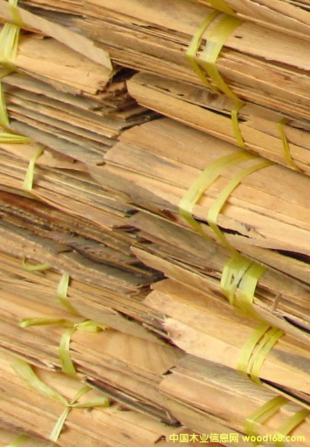 �c���鿴��ľľƤ�Ŵ�DƬ