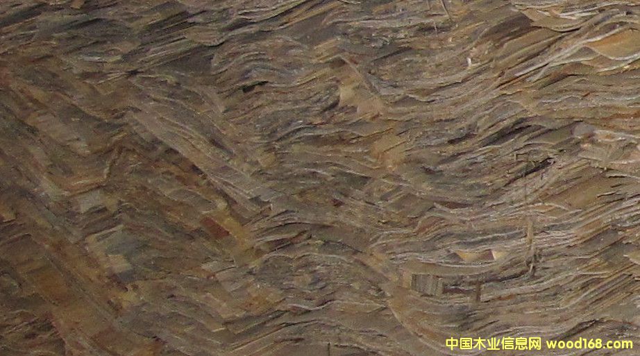 �c���鿴ľƤ�Ŵ�DƬ