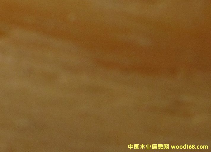 �c���鿴��ľľƤ�Ŵ�DƬ