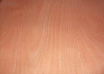 �c���鿴1.5cm��ľ����Ŵ�DƬ