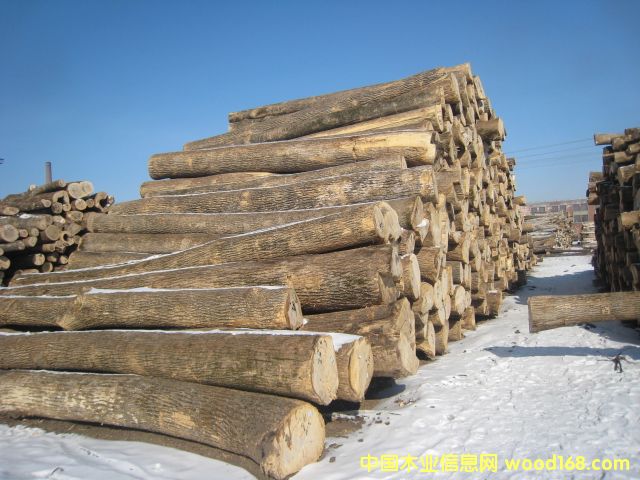 �c���鿴ˮ�����Ŵ�DƬ