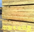 �c���鿴ľ���Ŵ�DƬ