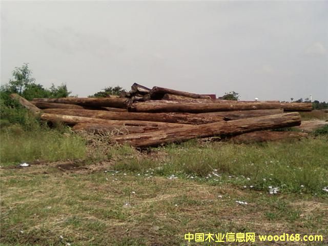 �c���鿴���޻���ľ�Ŵ�DƬ