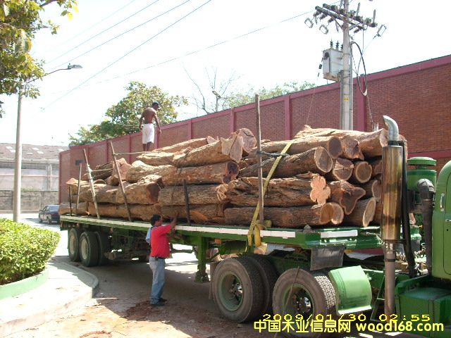 �c���鿴������̴�Ŵ�DƬ