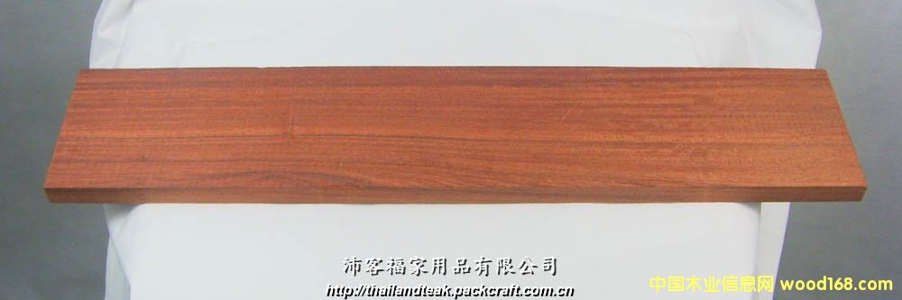 ̩������ľ��Ԕ����B