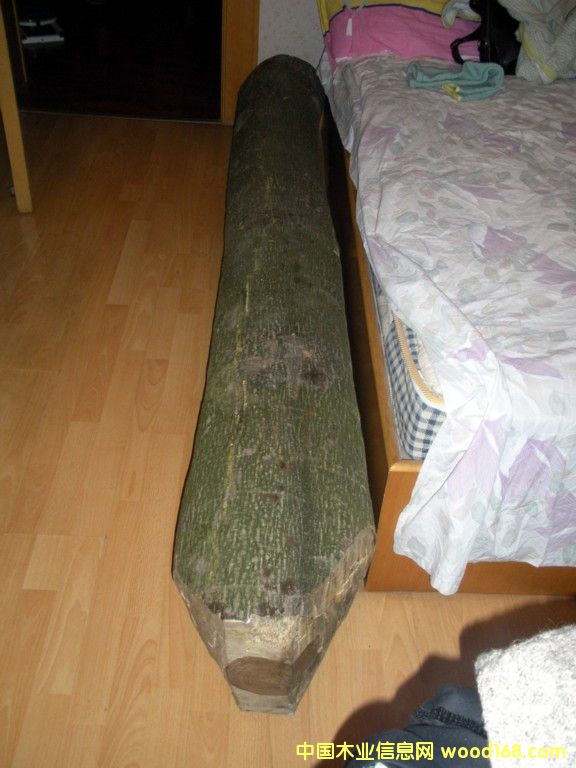 �c���鿴����ľ���۷Ŵ�DƬ