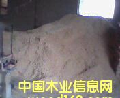 �c(di��n)���鿴ľм�Ŵ�DƬ