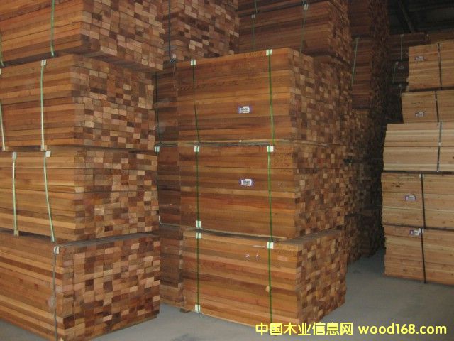 �tѩ�ɵ�Ԕ��(x��)��B