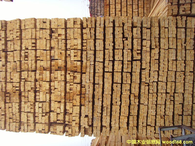 �c���鿴ɼľ���̷��Ŵ�DƬ