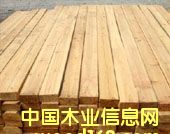 �c(di��n)���鿴����ľ���Ŵ�DƬ