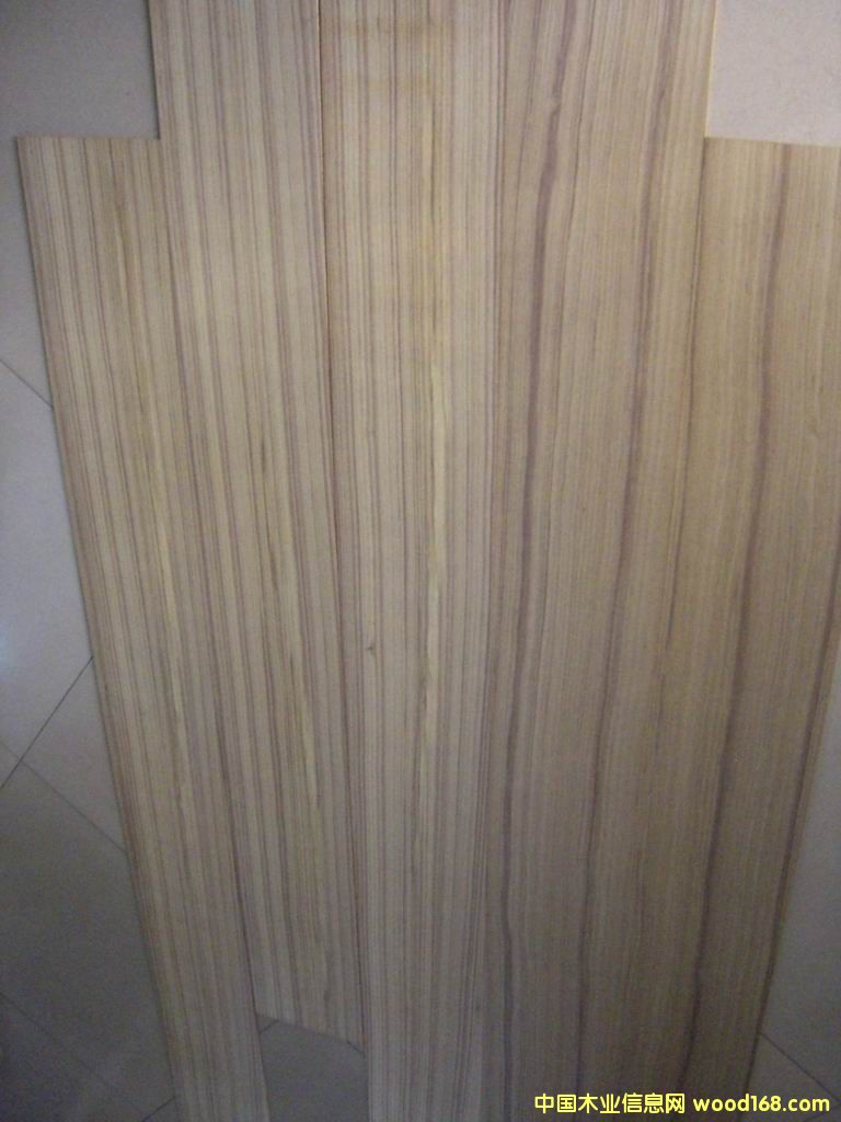 ������ľ�ΰ��Ԕ��(x��)��B