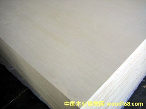 �c���鿴��ľ�z�ϰ�Ŵ�DƬ