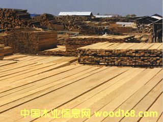 ���l��Ԕ����B