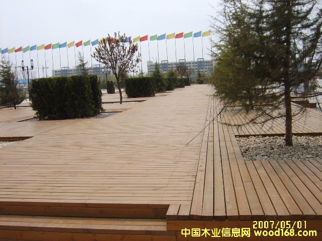 ���^����ľ��Ԕ����B