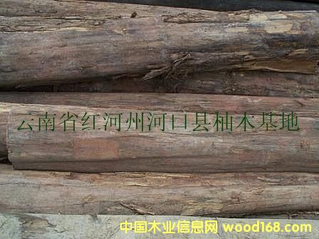 ������ľԭľ��Ԕ��(x��)��B