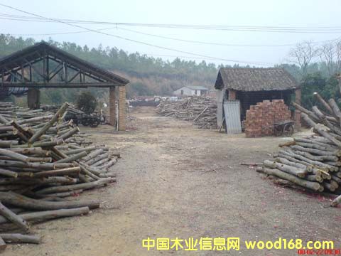 ľ��ľ���Ԕ��(x��)��B