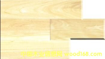 ��������Ԕ��(x��)��B