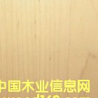 �c���鿴�ט��z�ϰ�Ŵ�DƬ