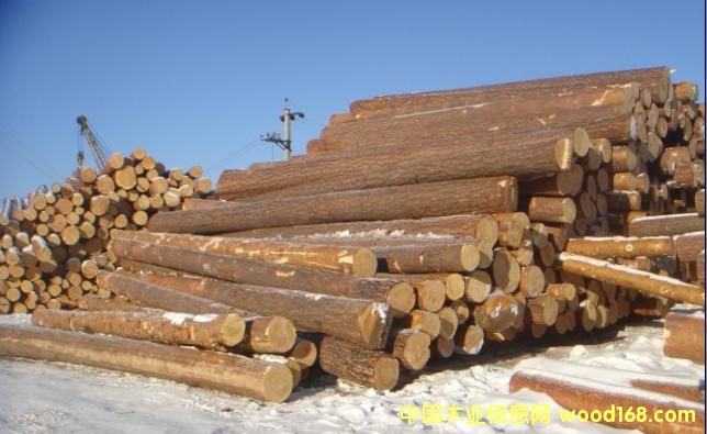 �c���鿴�ӹ���ԭľ�Ŵ�DƬ